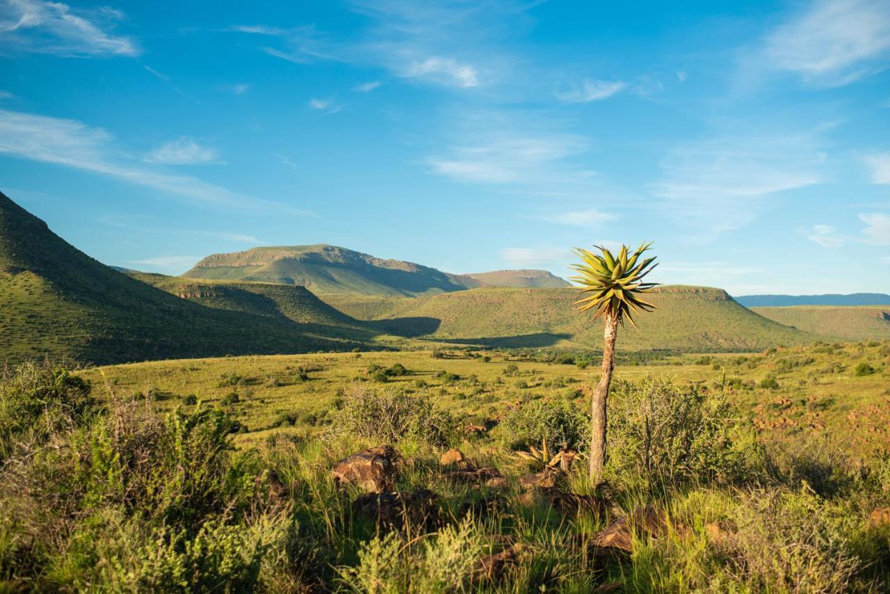 Glen Harry Game Reserve Graaff Reinet Luaran gambar