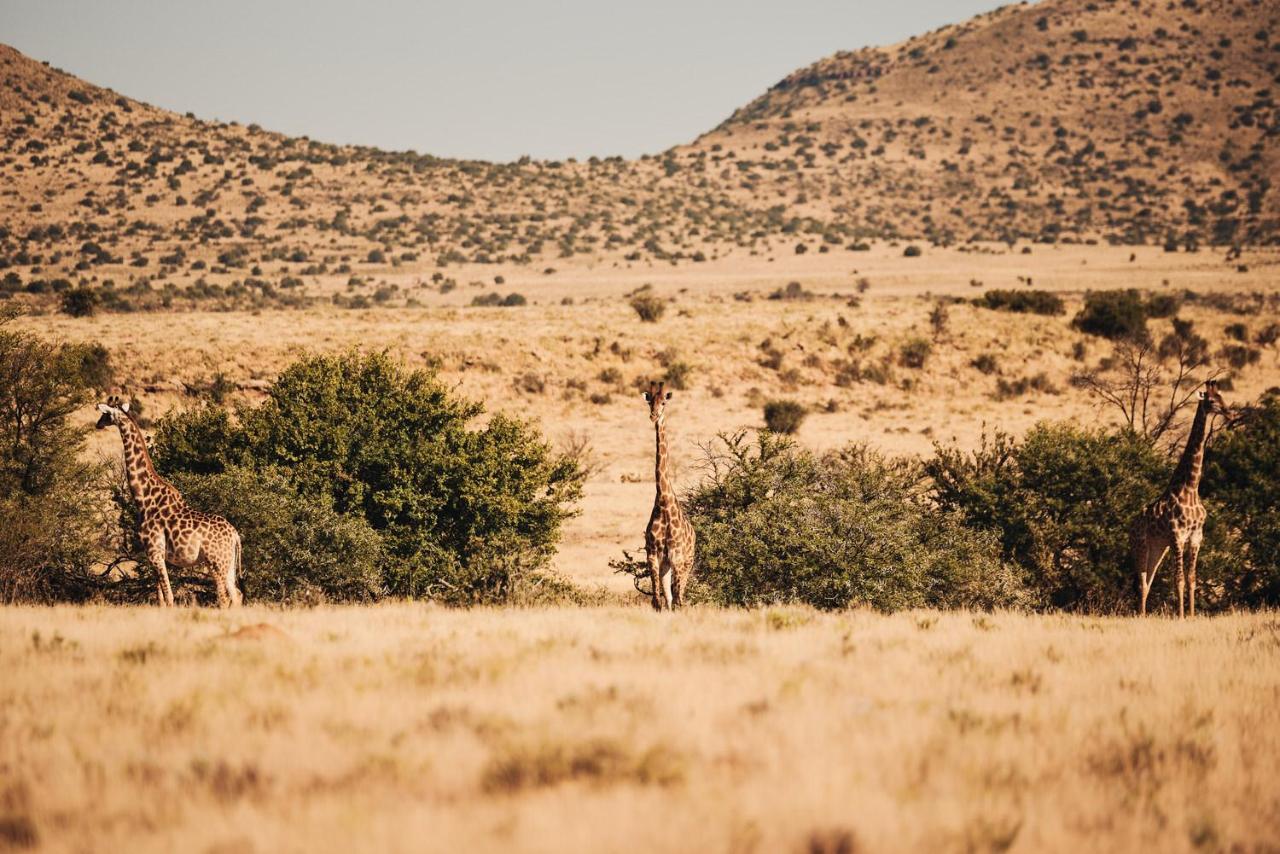 Glen Harry Game Reserve Graaff Reinet Luaran gambar