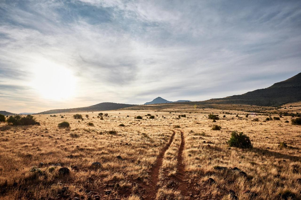 Glen Harry Game Reserve Graaff Reinet Luaran gambar