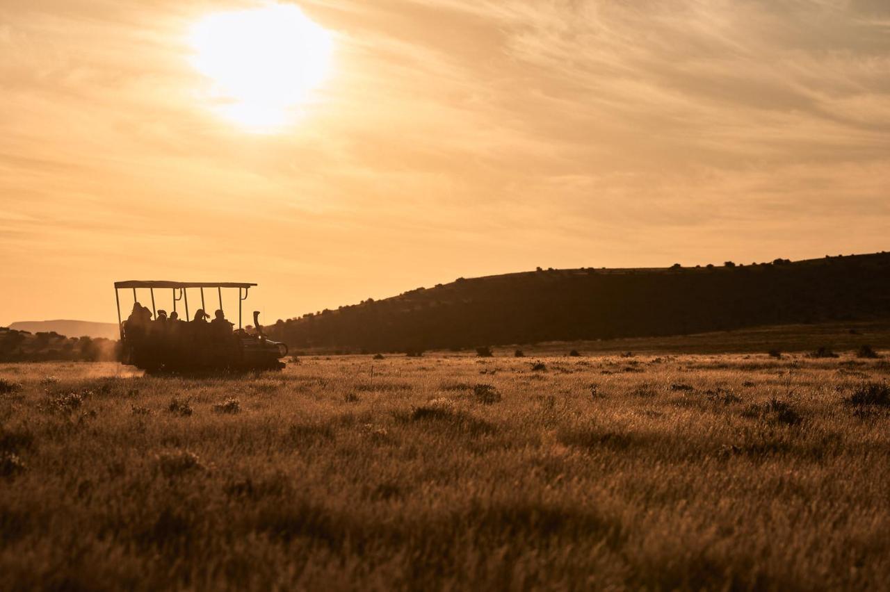 Glen Harry Game Reserve Graaff Reinet Luaran gambar